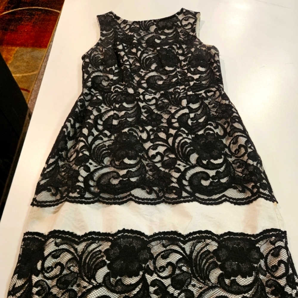Women's The Limited Lace Size 10 Dress A-line Black And White Lace!